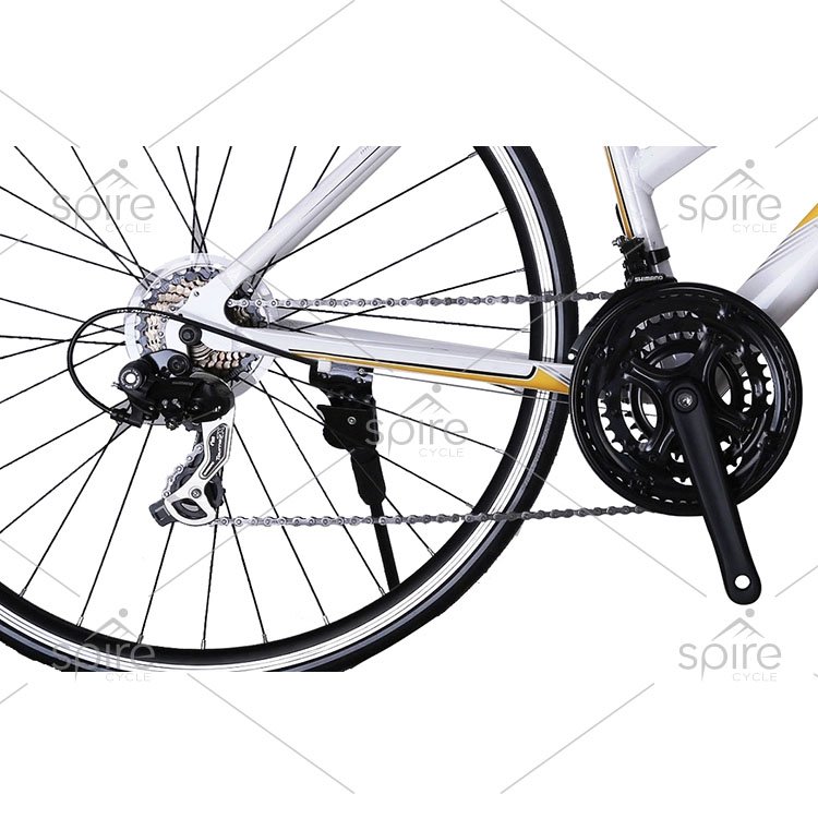 new style 21 speeds steel mountain bike for women