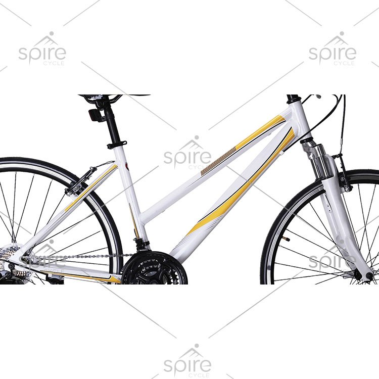 new style 21 speeds steel mountain bike for women