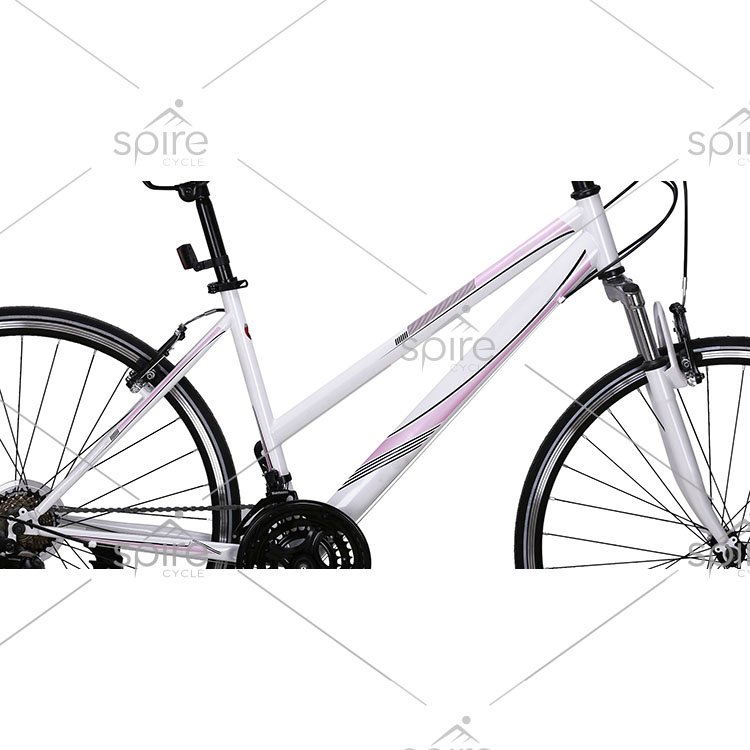 new style 21 speeds steel mountain bike for women