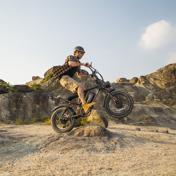 Electric Bicycle 25AH 2000W Mountain Ebike Fat Tire Mountain Moped Men's Road Hydraulic Oil Brake Electric Bike
