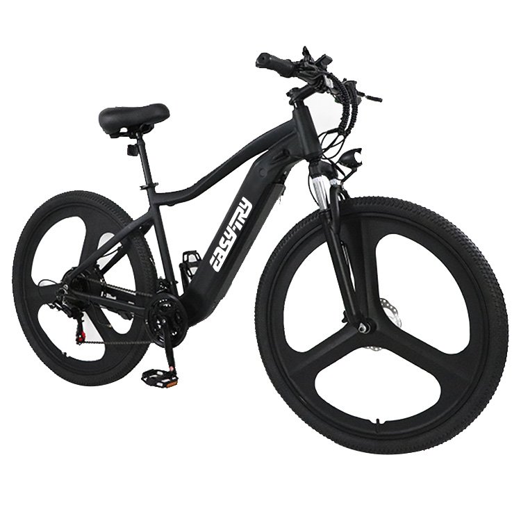 Electric Mountain Bike 29 inch 500W 13ah 21speed bike Lithium Battery electric mountain bike