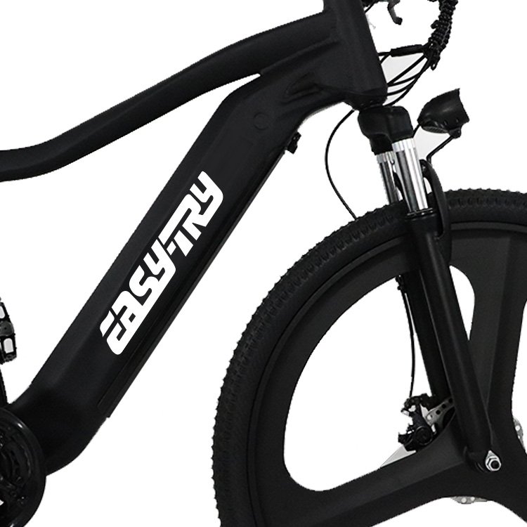Electric Mountain Bike 29 inch 500W 13ah 21speed bike Lithium Battery electric mountain bike