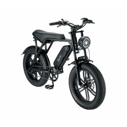 750watt(Max 1000watt)