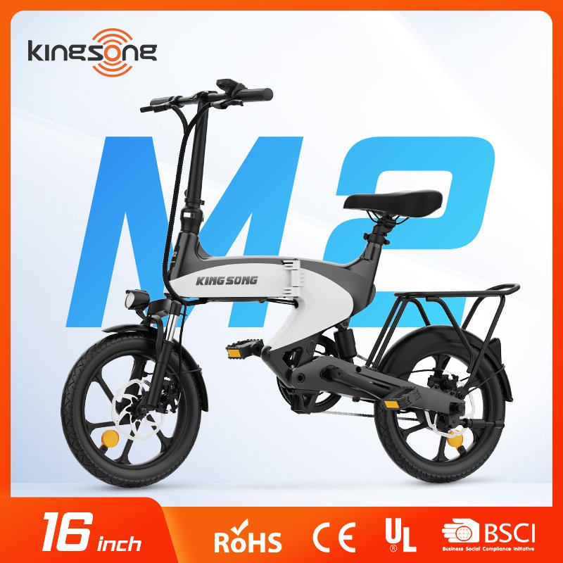 OEM Frame Electric City Bikes High Power Directly Brushless 48V 500W Bike Mountain 750w Max LED Light Fast Charging