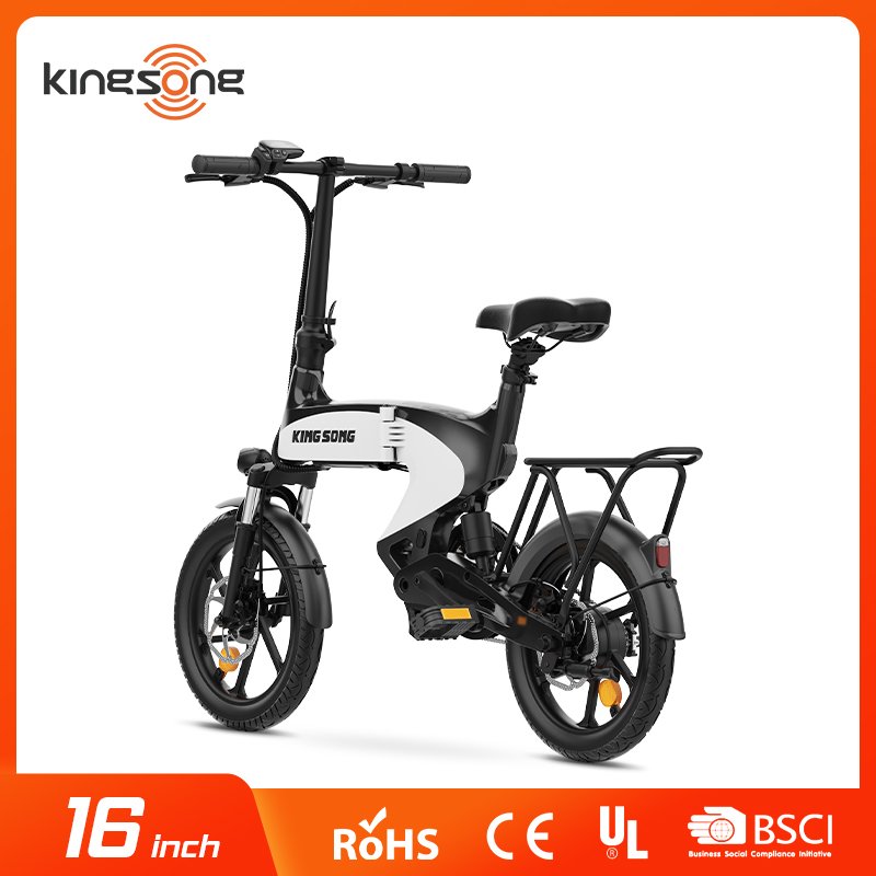OEM Frame Electric City Bikes High Power Directly Brushless 48V 500W Bike Mountain 750w Max LED Light Fast Charging