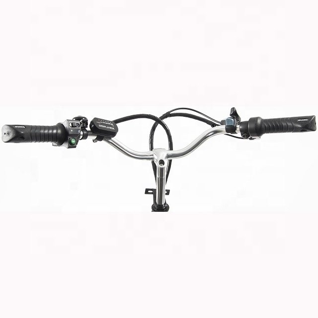 1000W Powerful Electric Mountain Bike Bicycle Flying Tiger 11.6AH Fat Tire E-bike with chopper electric bike