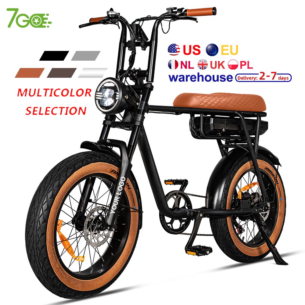 EU USA warehouse e-bike 250W 750W 1000W Fat tire Electric Mountain Bike for Adult Dirt Electric bicycle