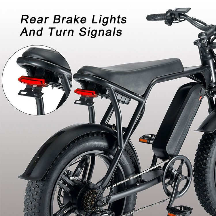 20*4.0 inch electric city bike ebike e bike 1000w 60km/h 48v 15ah 30ah 120km mileage wtih 7 speed gear mountain electric bike
