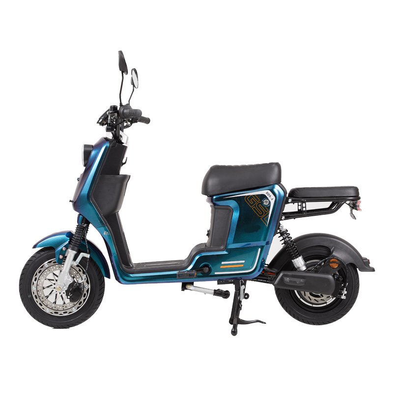 Factory MONSTER ebike 48v electr bike 60v 20AH 800W 1000W with 10inch fat tire electric city cargo bike motorbike