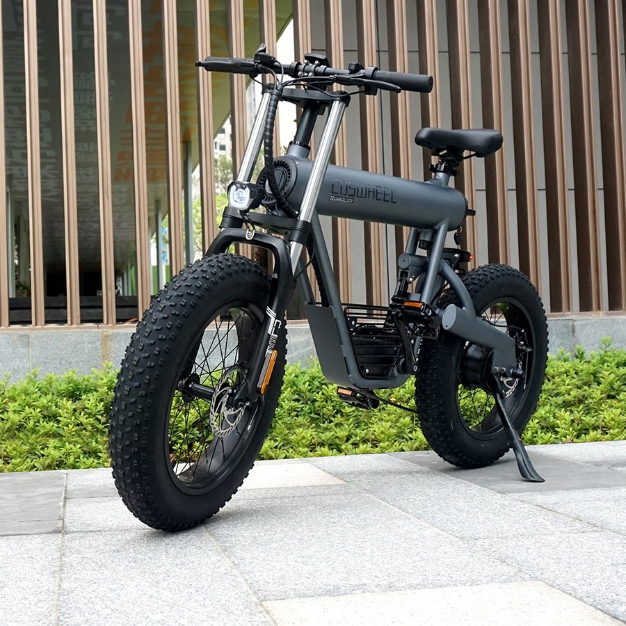 Coswheel T20 ebike wholesale mountain bike fat tires 20 Inches 500w electric bike electric bicycle factory e bike