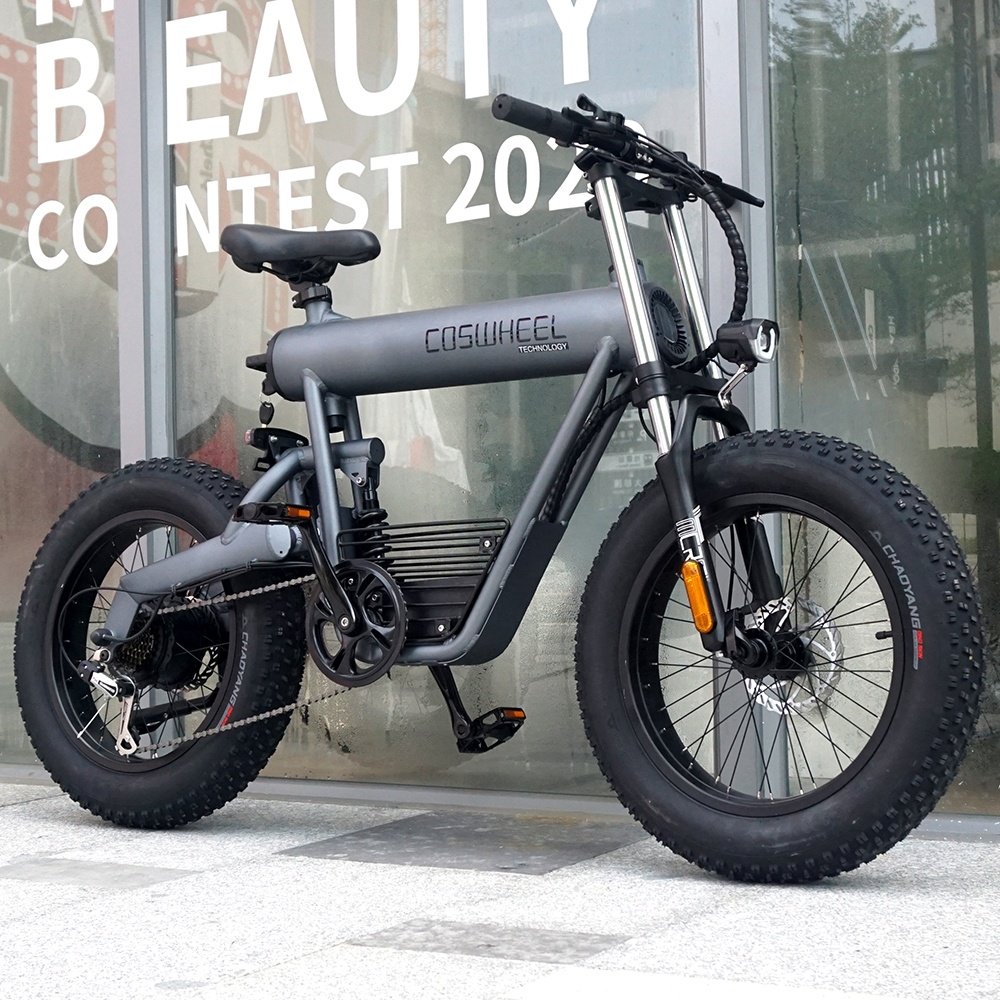 Coswheel T20 ebike wholesale mountain bike fat tires 20 Inches 500w electric bike electric bicycle factory e bike