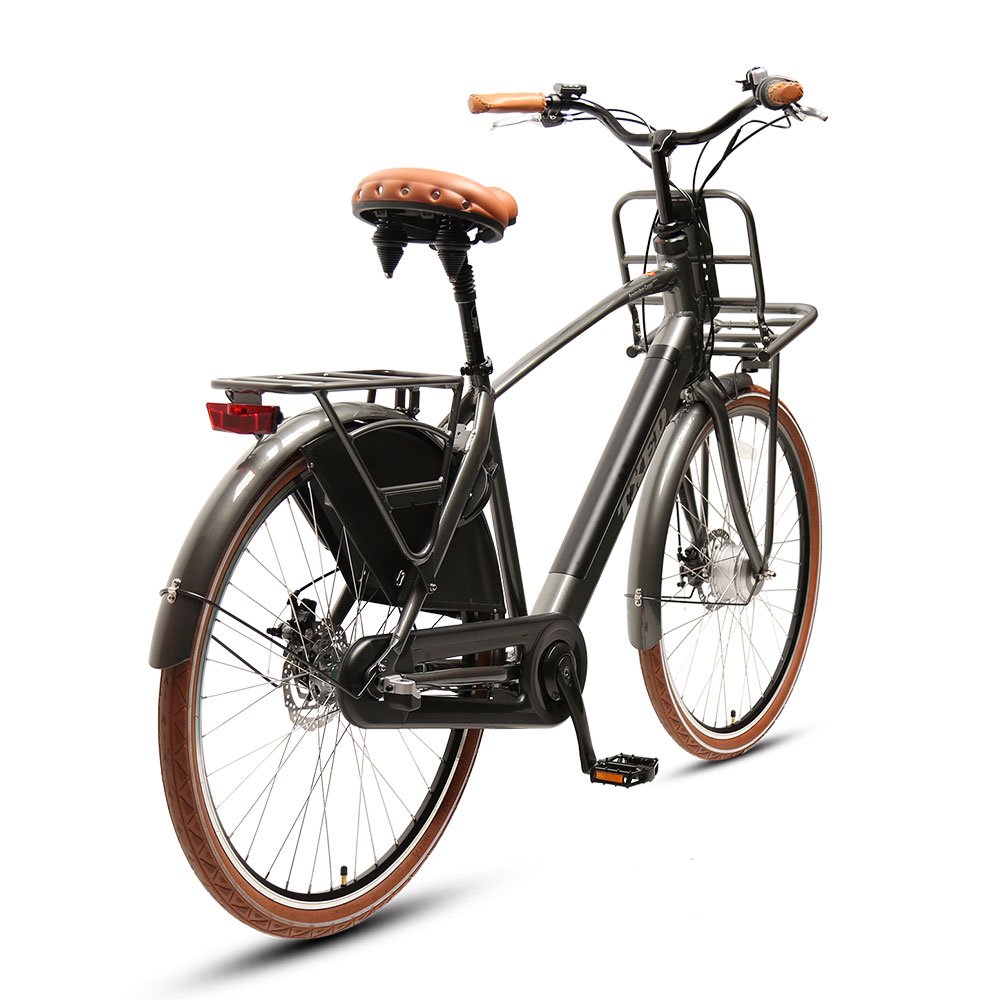 TXED 28 inch Amsterdam inner 3-speed electric bike 250W Lithium battery Electric City Bicycle