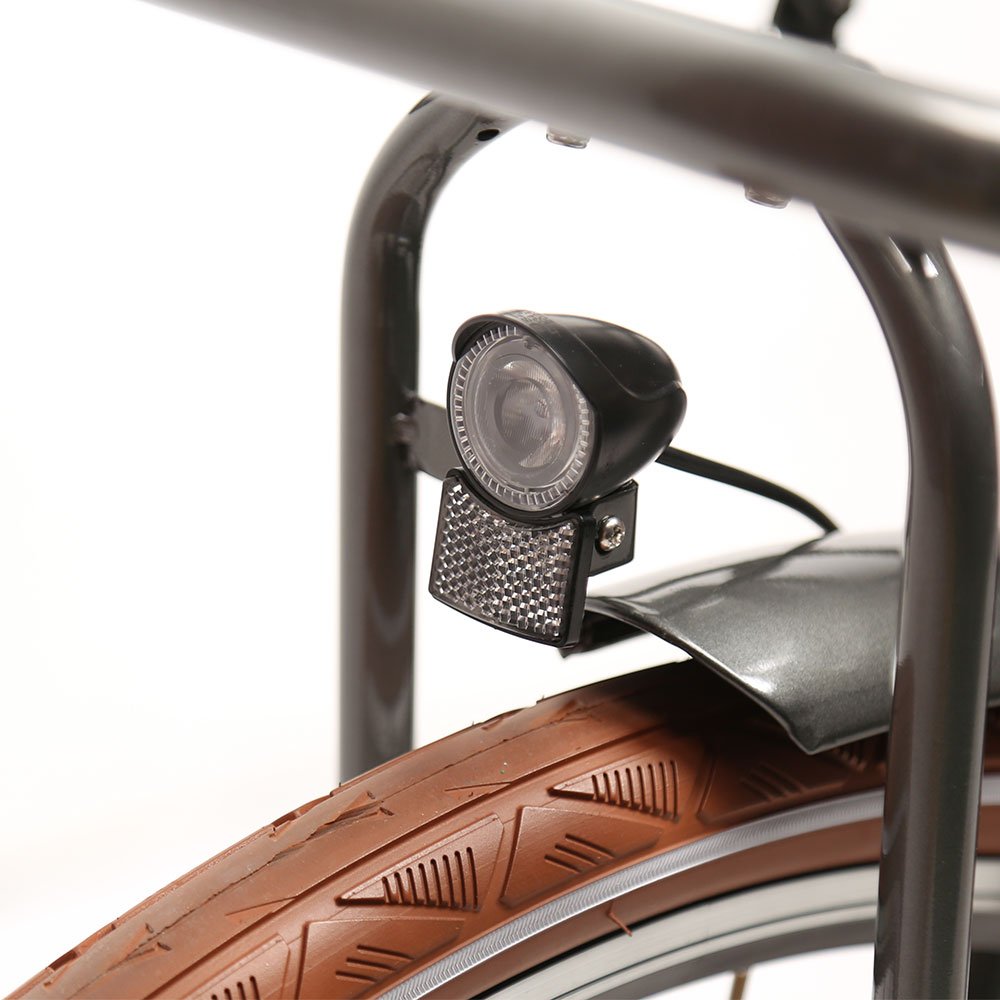 TXED 28 inch Amsterdam inner 3-speed electric bike 250W Lithium battery Electric City Bicycle