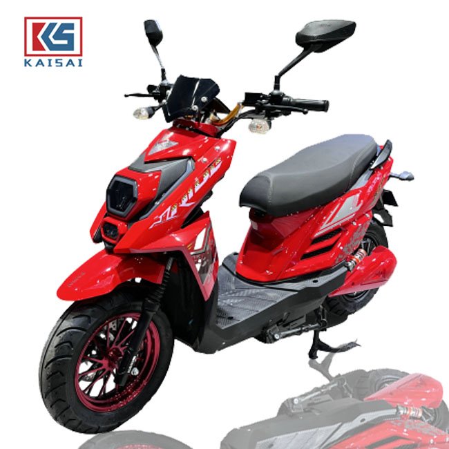 High Speed Mobility Electric Scooters Power Adult Ev Moped 1000w Ckd Disc Brake Fat Ebike 2 Wheel Electricity Motorcycle For Men