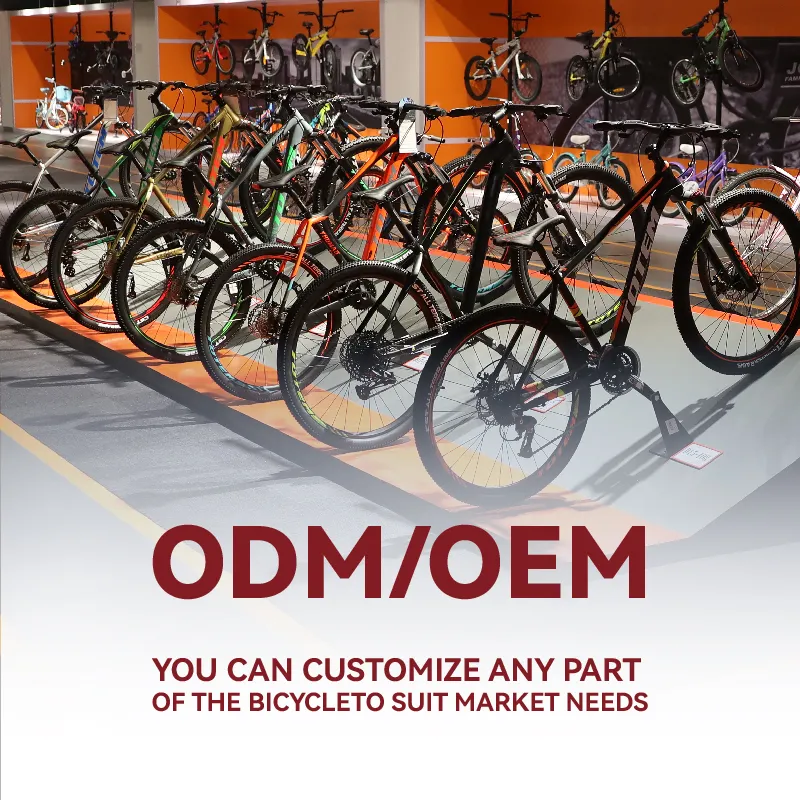 JOYKIE Chinese OEM and ODM Aluminium frame Hydraulic Disc Brake electric city bike electric bikes for adult