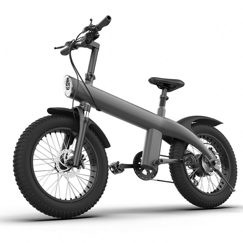 750W Powerful motor Electric City Bike Mountain Bike ebike