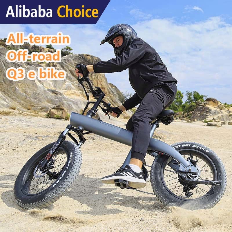 750W Powerful motor Electric City Bike Mountain Bike ebike