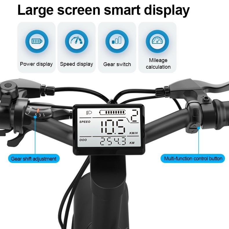 750W Powerful motor Electric City Bike Mountain Bike ebike