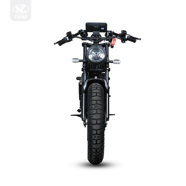 750W Assisted off-Road Mountain Vehicle Motorized Bicycle Electric Bike