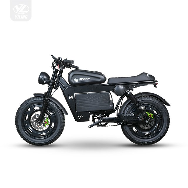 750W Assisted off-Road Mountain Vehicle Motorized Bicycle Electric Bike