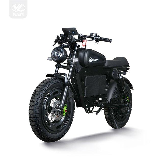 750W Assisted off-Road Mountain Vehicle Motorized Bicycle Electric Bike