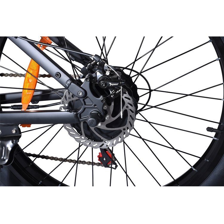 48V Lithium Battery City Commuting Electric Bike Road Mountain Electric Bike 37Mph Electric Mountain Bike