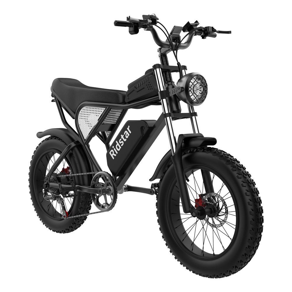 EU/USA/UK Warehouse Electric Mountain Bike Ridstar Q20 20inch Fat Tire 1500W 48V 20AH Electric Bike