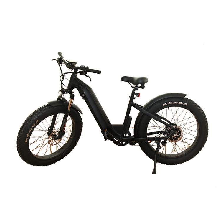 electric city bicycle electric assist bicycle electric bike 1000w
