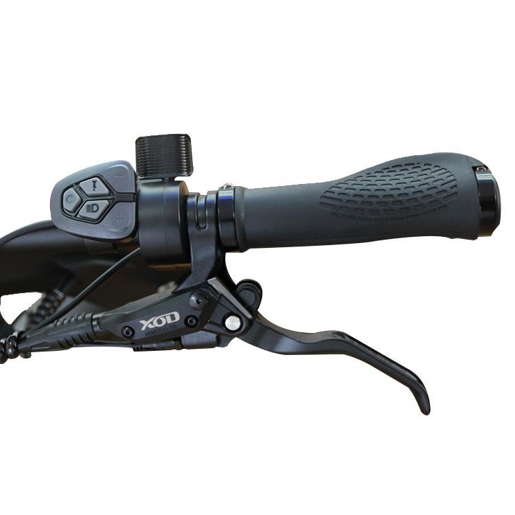 electric city bicycle electric assist bicycle electric bike 1000w