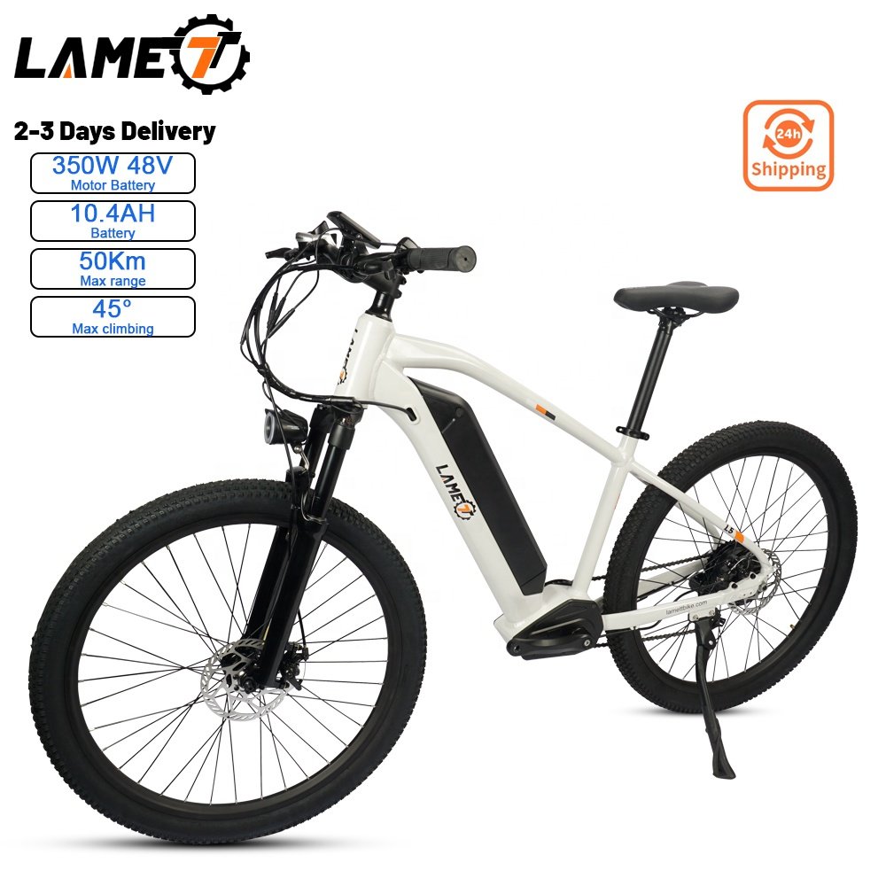 20 Inch Ebike Fat Tire Electric Bicycle ebike City Bike Chopper Bike 500w