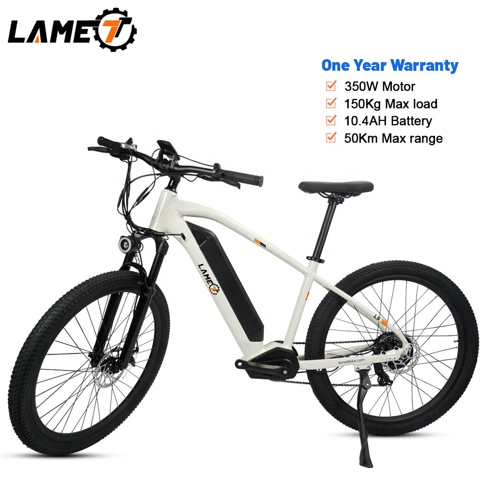 20 Inch Ebike Fat Tire Electric Bicycle ebike City Bike Chopper Bike 500w