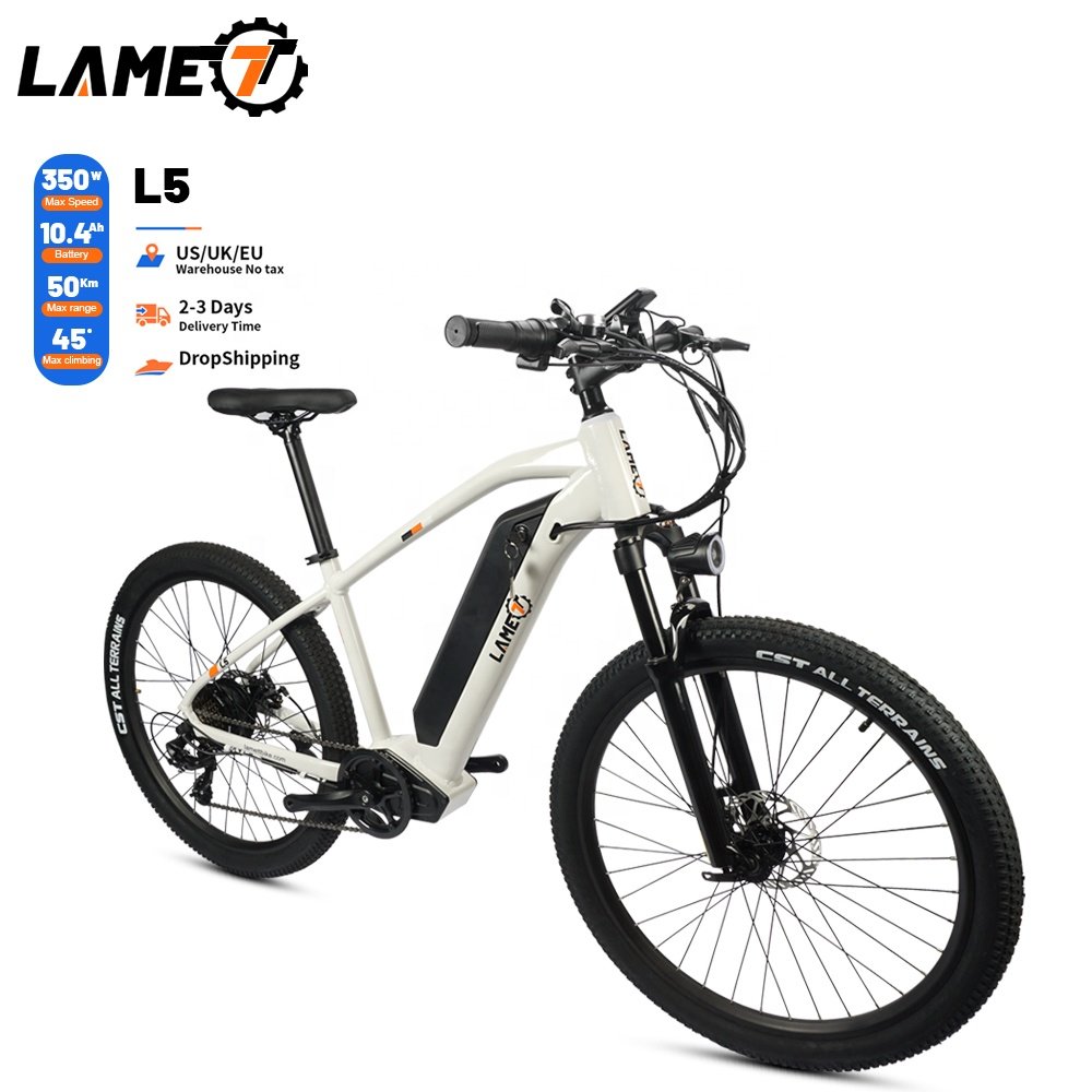 20 Inch Ebike Fat Tire Electric Bicycle ebike City Bike Chopper Bike 500w