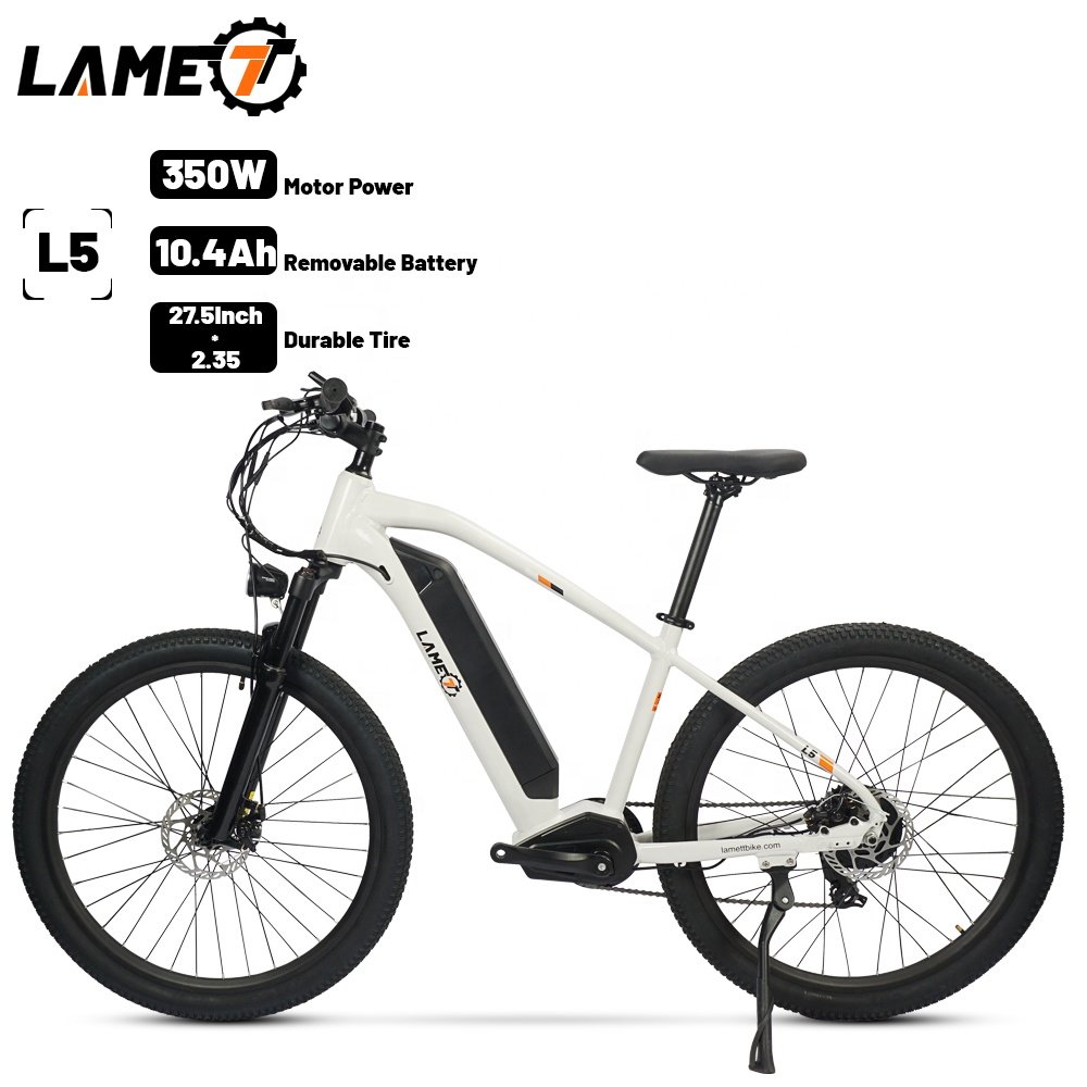 20 Inch Ebike Fat Tire Electric Bicycle ebike City Bike Chopper Bike 500w