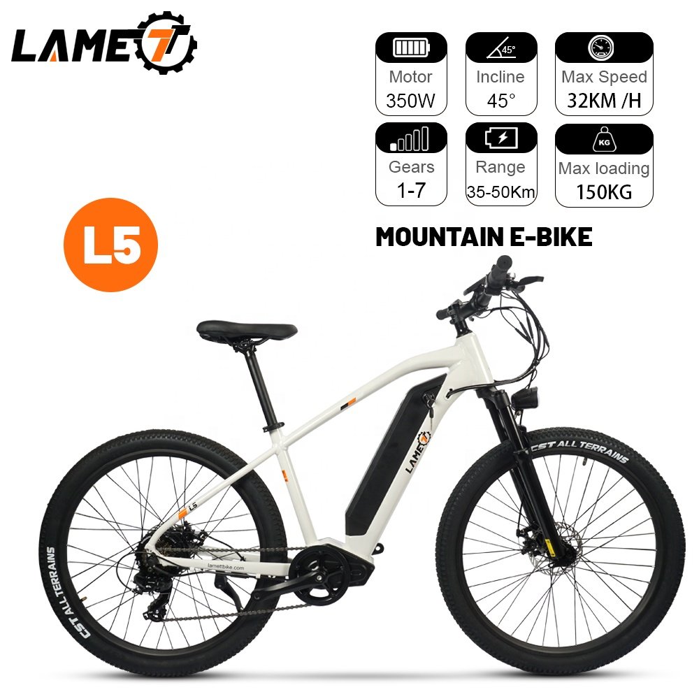 20 Inch Ebike Fat Tire Electric Bicycle ebike City Bike Chopper Bike 500w