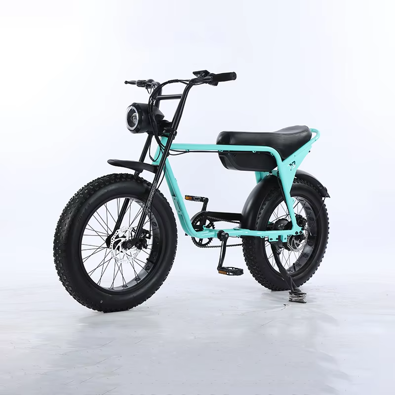 Factory Wholesale 20 Inch Fat Tire Mountain E-Bike 48V 13AH/18AH/25AH Battery Shock Absorption Electric Bicycle