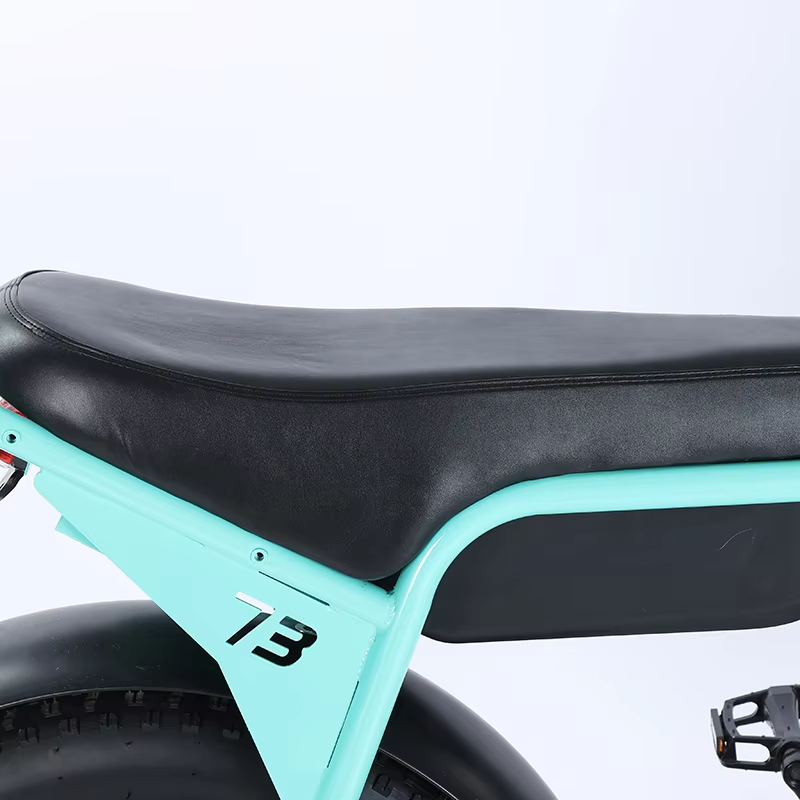 Factory Wholesale 20 Inch Fat Tire Mountain E-Bike 48V 13AH/18AH/25AH Battery Shock Absorption Electric Bicycle