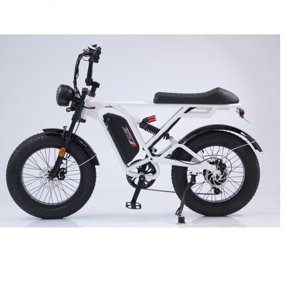 Electric bike fat tire electric bike ebike 48V 500W/750w/1000w brushless snow mountain bike 20'' with eec certificate