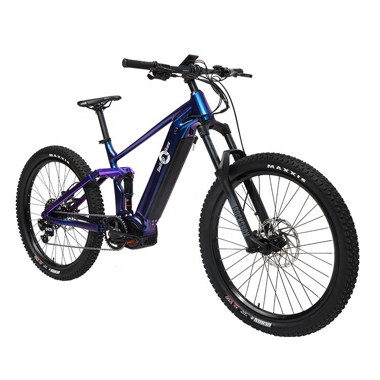 OEM Custom Powerful 48v 1000w E MTB Mountain Electric Bicycle with Aluminum Alloy Frame