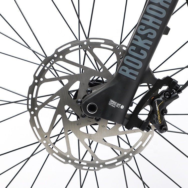 OEM Custom Powerful 48v 1000w E MTB Mountain Electric Bicycle with Aluminum Alloy Frame