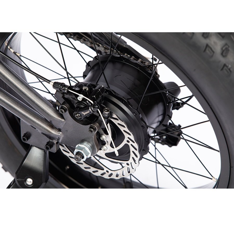 High Power 20'' e-bike Fast Shipping 750w 1000w Fat Tire Snow Electric Mountain bicycle banana seat long range ebike