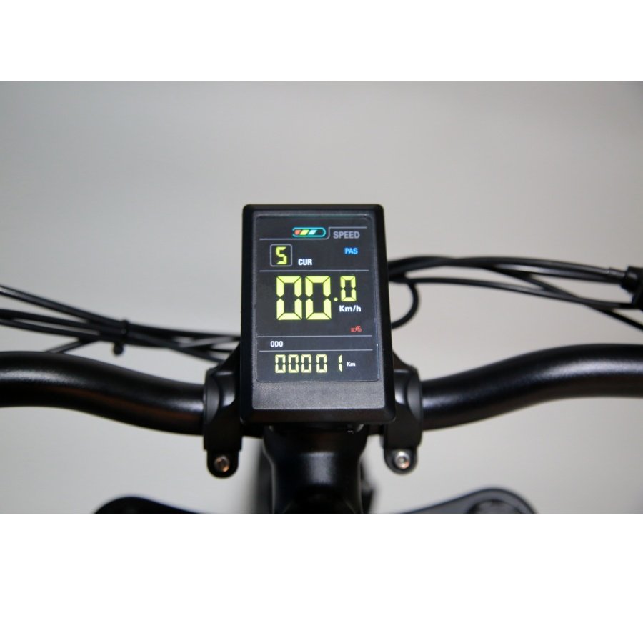 High Power 20'' e-bike Fast Shipping 750w 1000w Fat Tire Snow Electric Mountain bicycle banana seat long range ebike