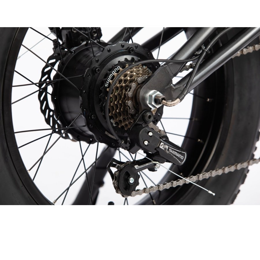 High Power 20'' e-bike Fast Shipping 750w 1000w Fat Tire Snow Electric Mountain bicycle banana seat long range ebike