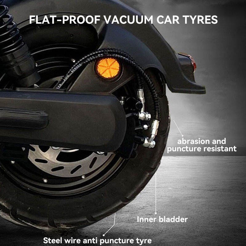 China Made 10 Inch Syuan 009 Men Boys E Bikes Fat Tire City Road Women Ebike Chinese Cheap Price Electric Bicycle for Adults