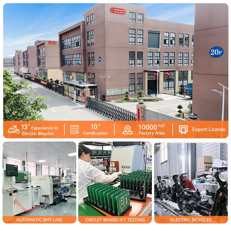 China Made 10 Inch Syuan 009 Men Boys E Bikes Fat Tire City Road Women Ebike Chinese Cheap Price Electric Bicycle for Adults