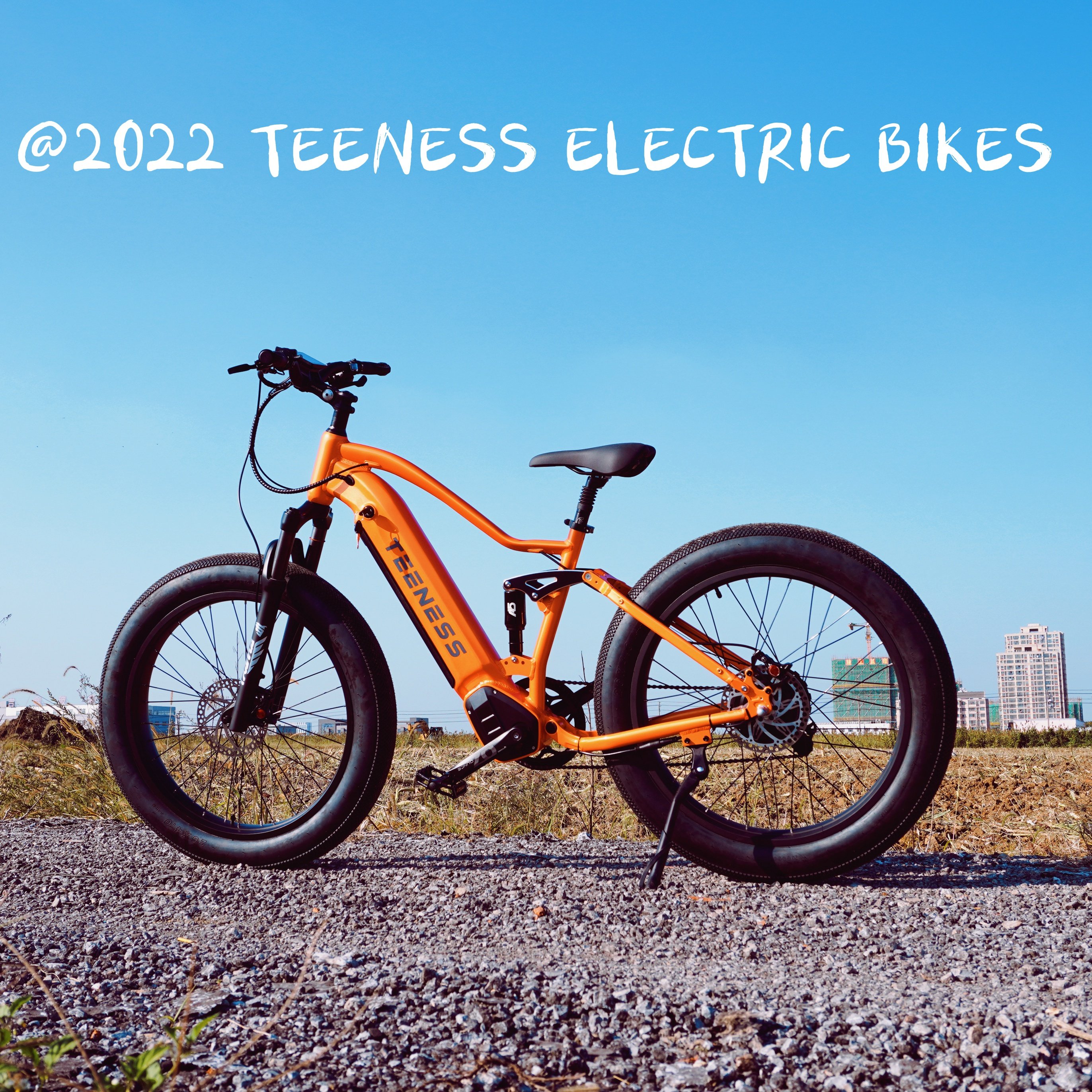 2022 Fast Speed 750W Electric bike 26" Fat Tire Snow Bicycle Hidden battery 8 speed Beach Cruiser Ebike