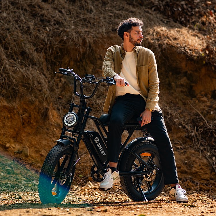 USA EU warehouse 2024 hot sale mountain bicycle ebike 250W 750W 1000W Long range electric bikes fat tire e bike