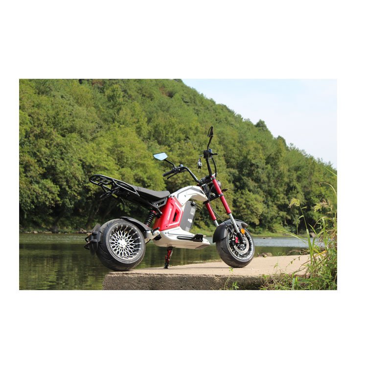 Chinese High-Speed Electric Motorcycle Vehicle Manufacturer 3000W 4000WE-motor Max Load 300KGS Two Wheeled Electrical Sportbike