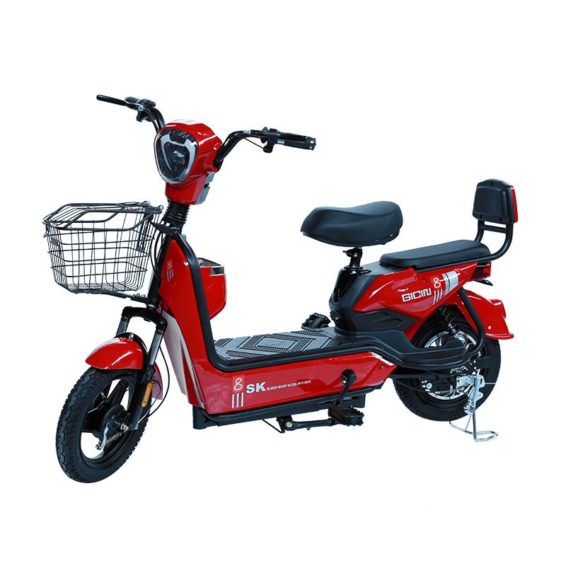 2024 Cheap 48v 750w Ebike Top Quality Electric Mountain Bicycle for Men Electric City Bike