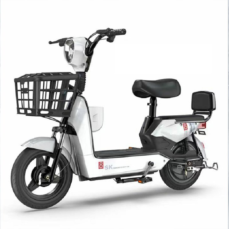 2024 Cheap 48v 750w Ebike Top Quality Electric Mountain Bicycle for Men Electric City Bike