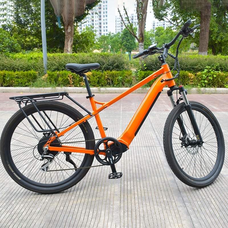 RaiderRace-802 New Design China Factory E Bike 48v Electric Mountain Bike 500w 26 Inch Electric Electric fat tire bike bicycle